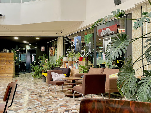 Mucho Más Que Idiomas.Com, Escuela de idiomas en Madrid,Madrid