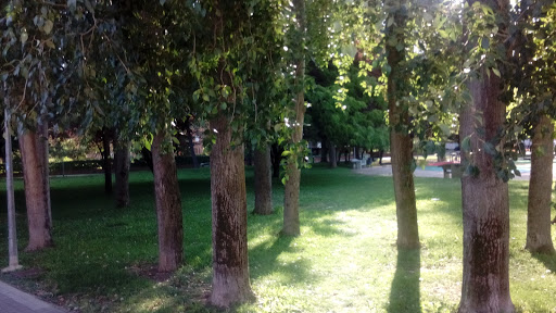 Colegio Público Ciudad de Buenos Aires, Institución educativa pública en Palencia,Palencia