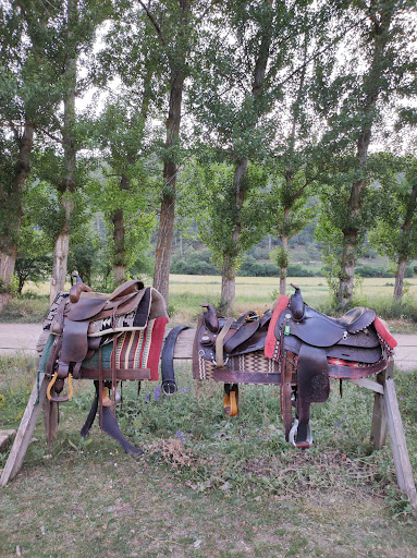 caballos albarracin, Operador turístico en Moscardón,Teruel