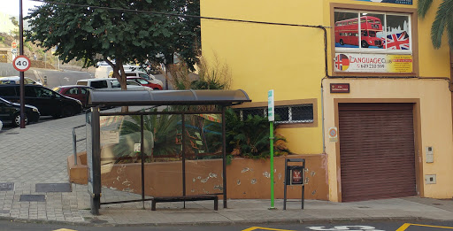 The Language Club | Academia de idiomas, Escuela de idiomas en La Orotava,Santa Cruz de Tenerife